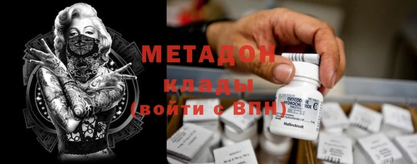 трава Белокуриха