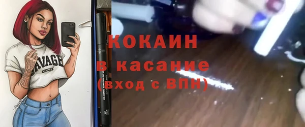 трава Белокуриха