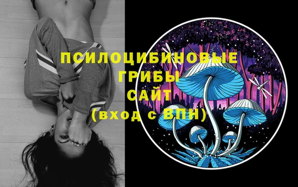 ГАЛЛЮЦИНОГЕННЫЕ ГРИБЫ Балабаново