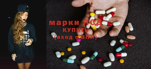 трава Белокуриха