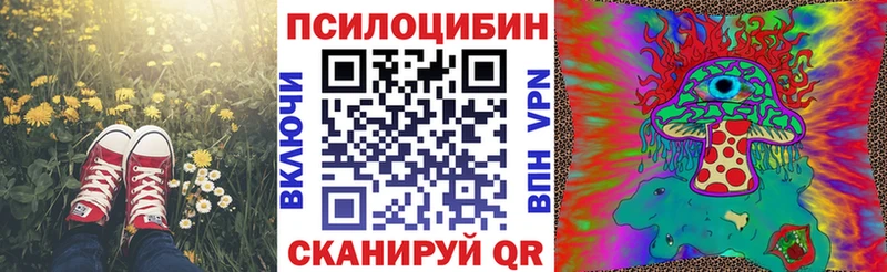 Псилоцибиновые грибы Psilocybine cubensis  OMG маркетплейс  Макаров 